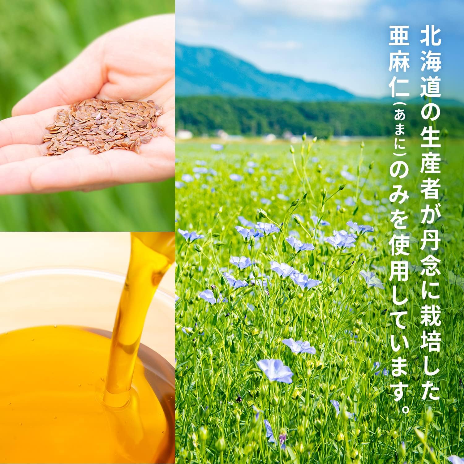 OMEGAファーマーズ BONANZA OIL AMANI 110g 国産(北海道産)アマニ油 6