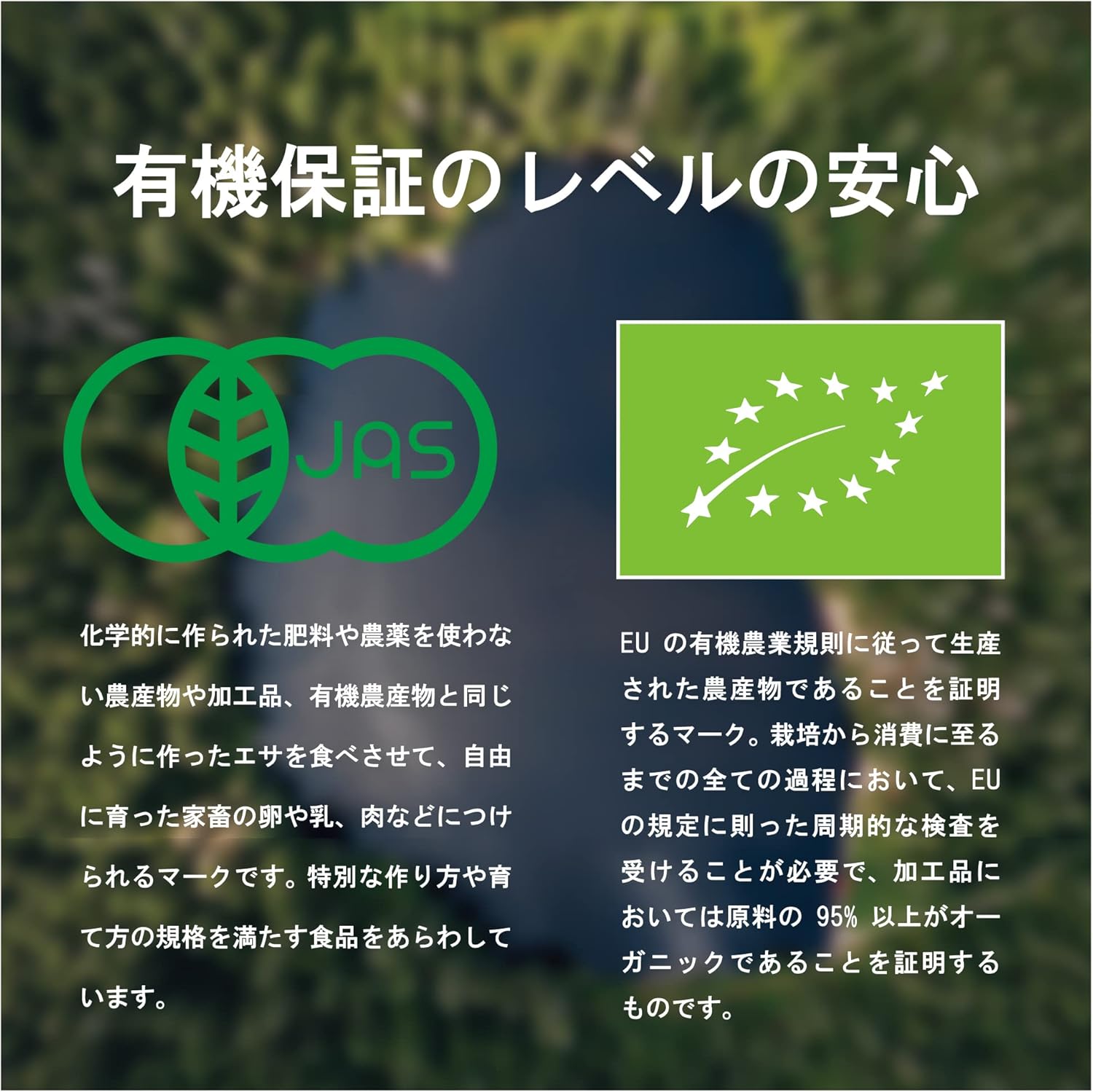 [CRUDIGNO・クルーディニョ] 有機アマニオイル 250ml (イタリア産、有機JAS認証、コールドプレス低... 6