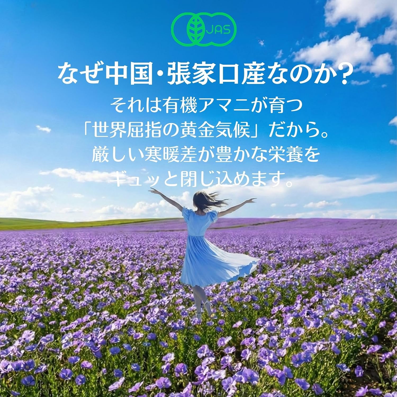 【有機JAS認証】アマニ油 250ml 有機亜麻仁油 低温圧搾 オメガ3 α-リノレン酸豊富 遮光瓶 窒素充填 酸... 7