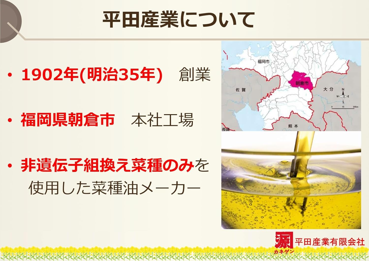 カネゲン 平田産業 国産なたねサラダ油 910g 6