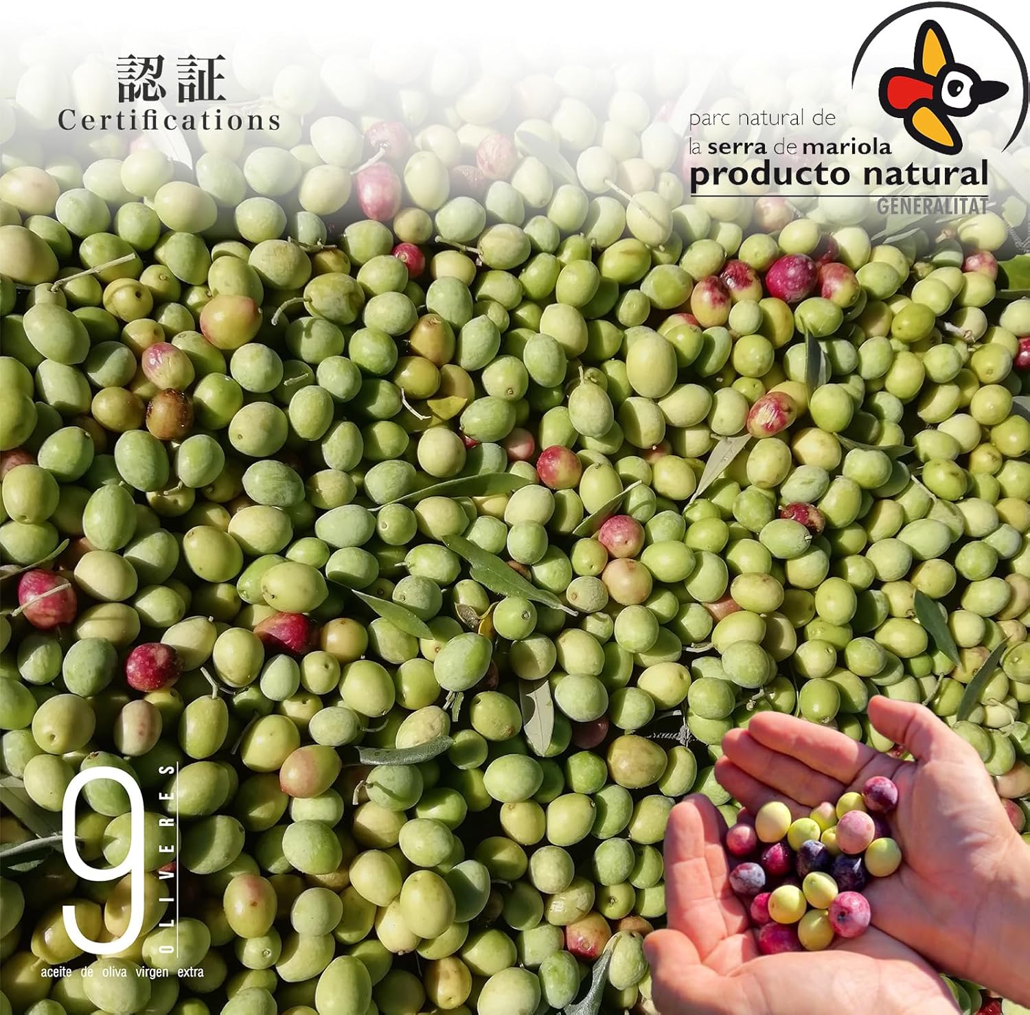 9 Oliveres (ヌエべ・オリベレス）１00％ピクアル種 オリーブオイル 500ml スペイン産 限定商品 ... 6