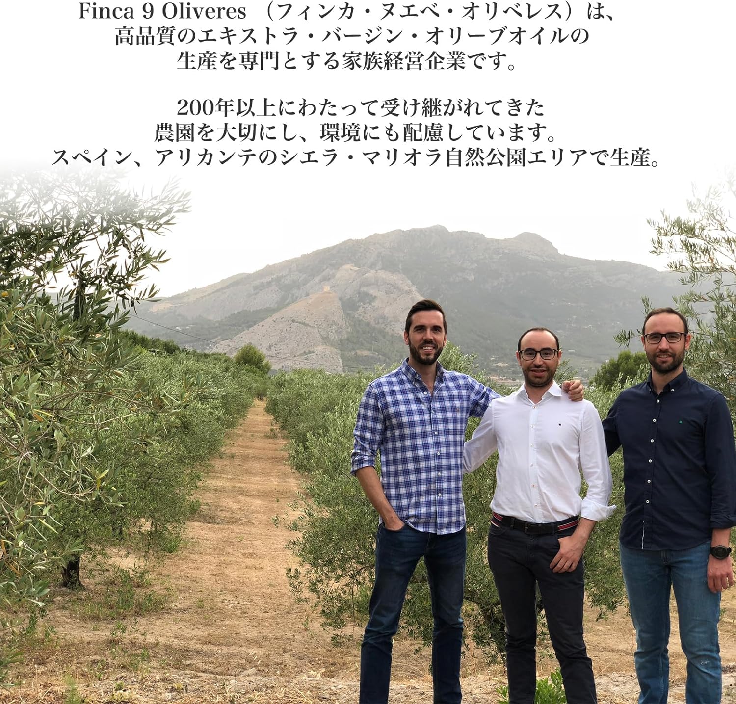 9 Oliveres (ヌエべ・オリベレス）１00％ピクアル種 オリーブオイル 500ml スペイン産 限定商品 ... 7