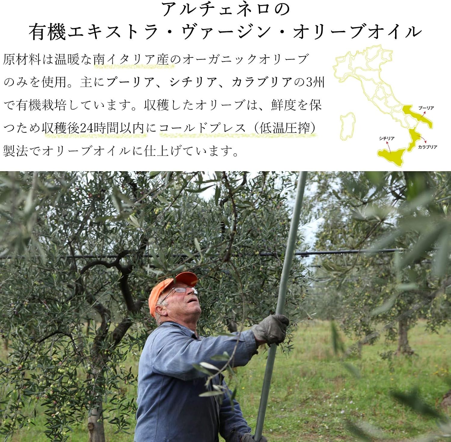 ALCE NERO(アルチェネロ) 有機 エキストラヴァージン オリーブオイル ドルチェ 250ml (オーガニッ... 5