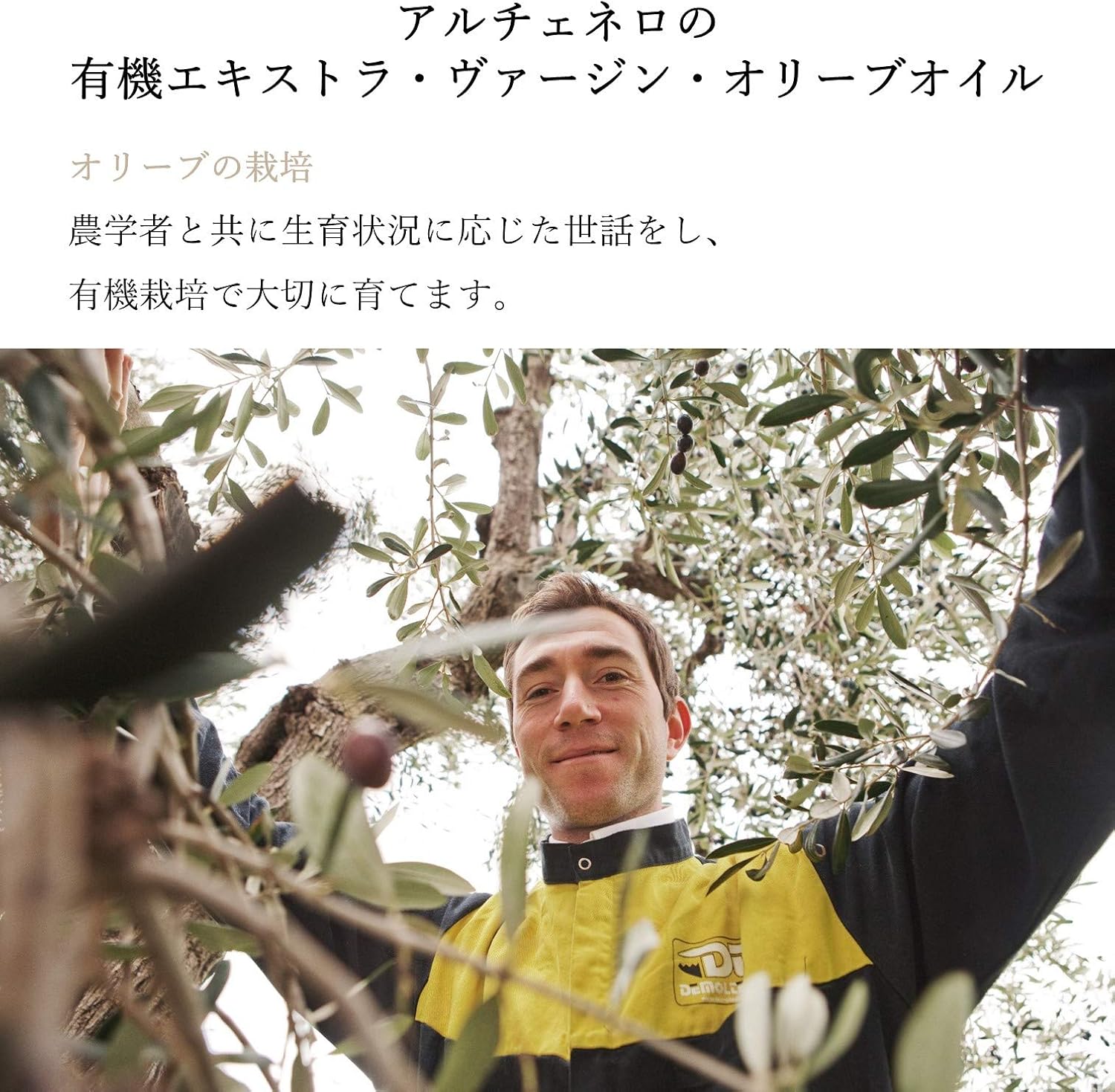 ALCE NERO(アルチェネロ) 有機 エキストラヴァージン オリーブオイル ドルチェ 250ml (オーガニッ... 6