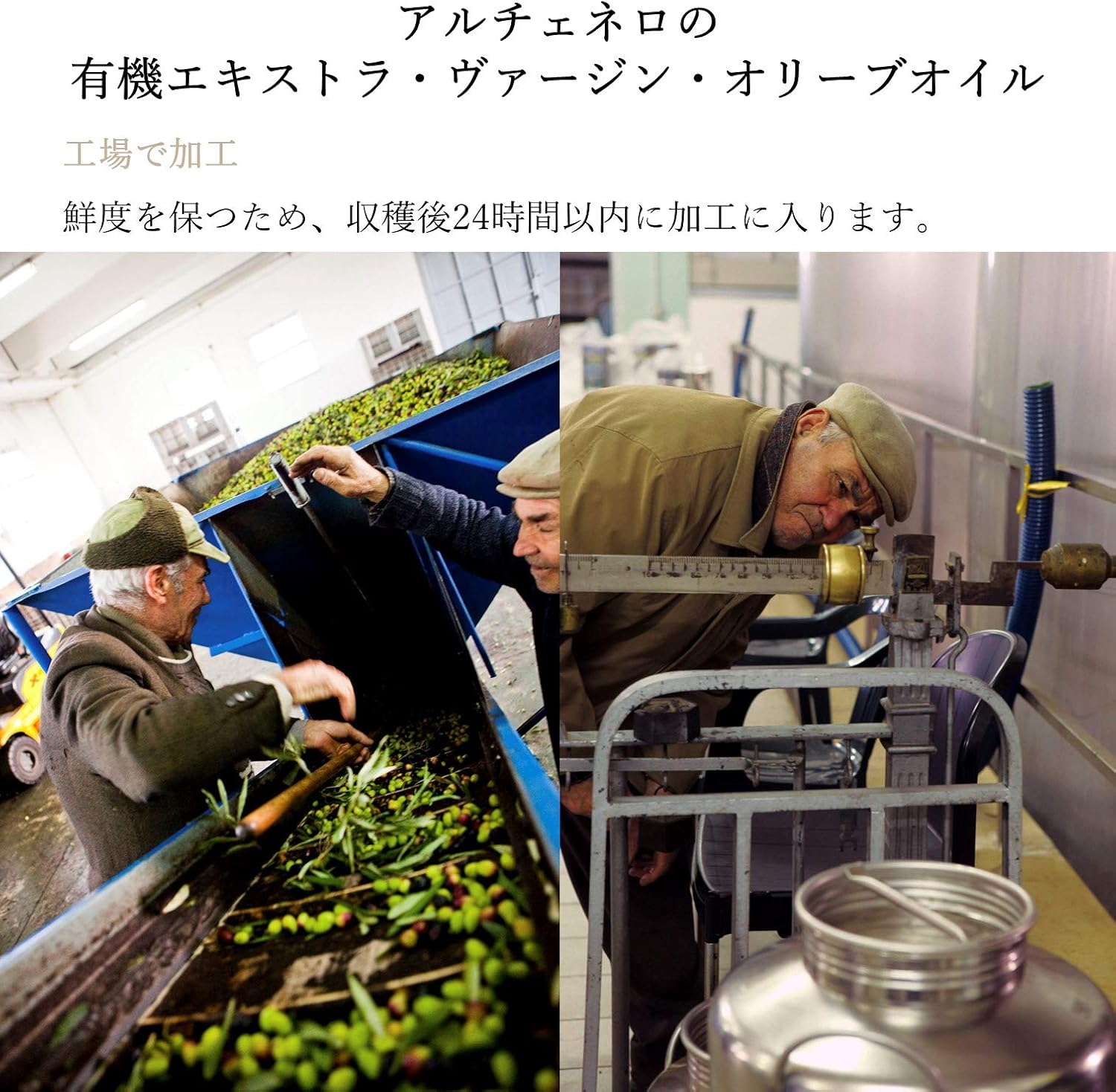 ALCE NERO(アルチェネロ) 有機 エキストラヴァージン オリーブオイル ドルチェ 250ml (オーガニッ... 7