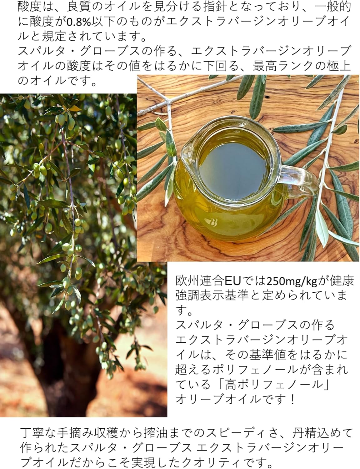 有機JAS認証【JOOTA AWARDS 2024銀賞＆シェフ賞のダブル受賞！】スパルタグローブスオリジナル オー... 2