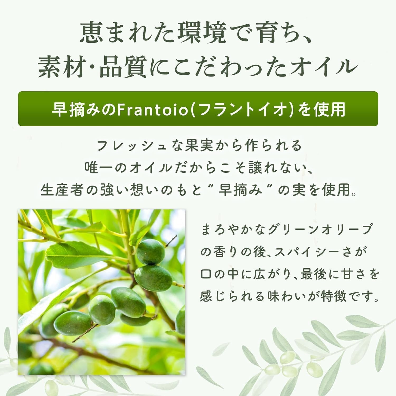 【FRUITY】エキストラバージン オリーブオイル ICONO(アイコノ) 250ml by MORE Chile 3