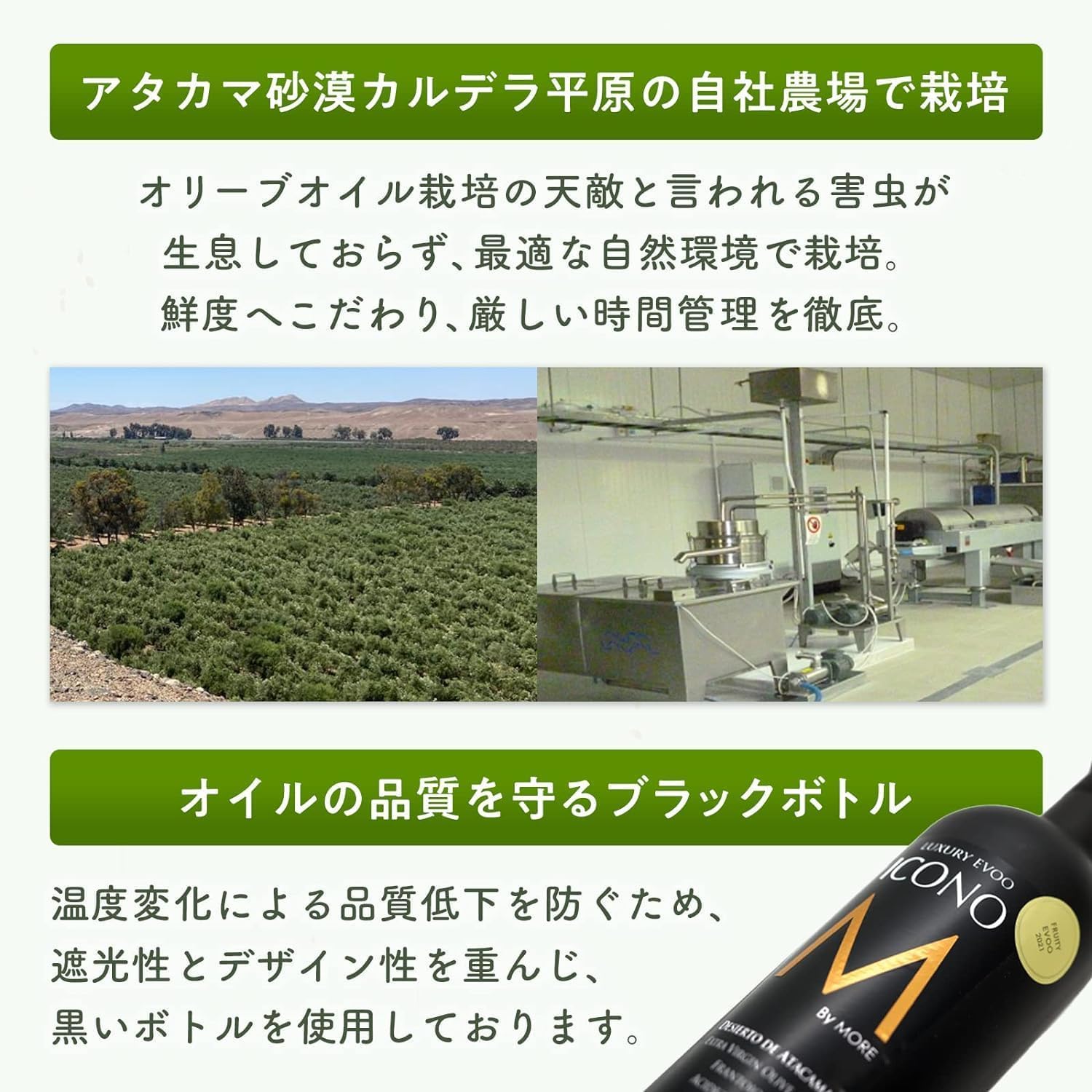 【FRUITY】エキストラバージン オリーブオイル ICONO(アイコノ) 250ml by MORE Chile 4