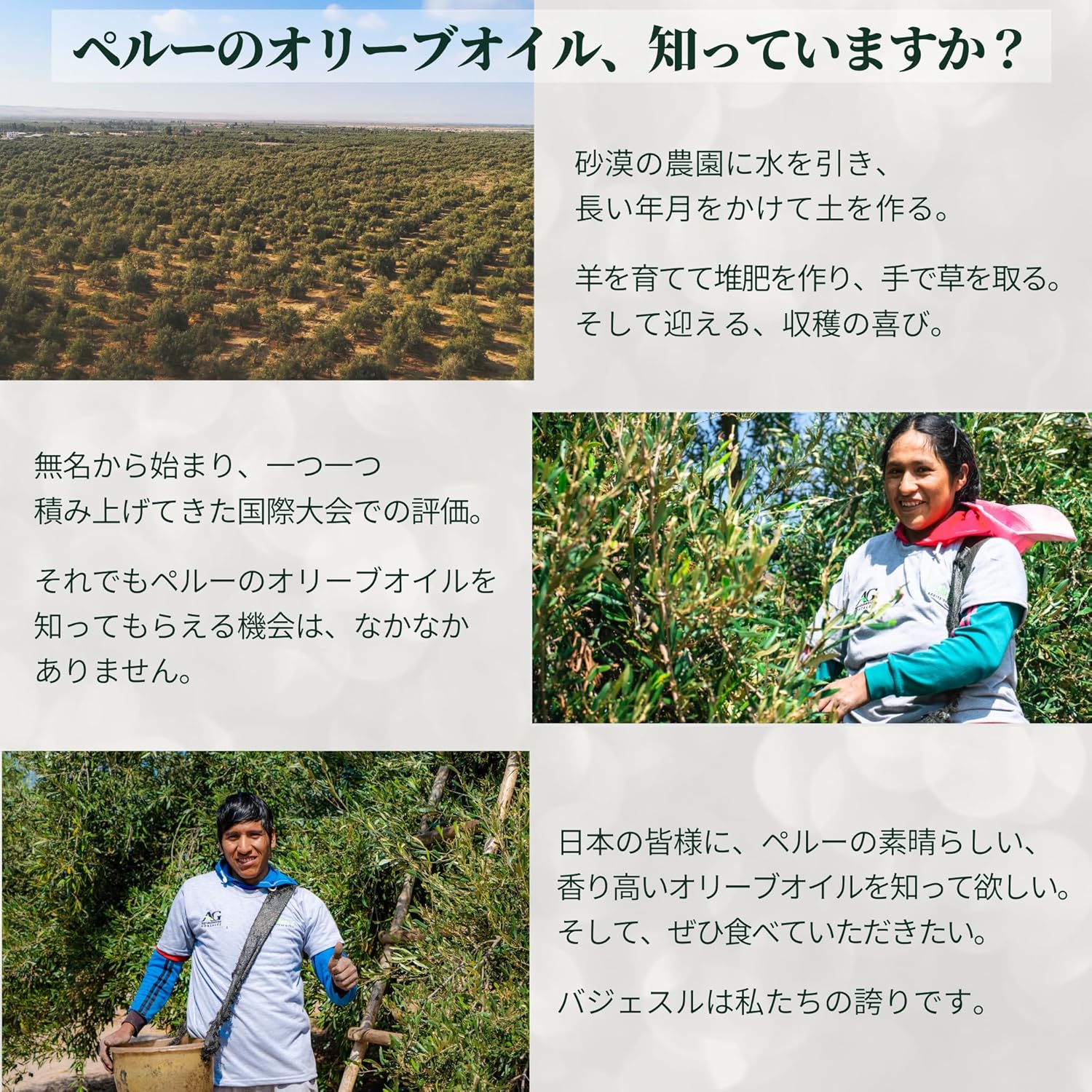 【３年連続第一位】Vallesur (バジェスル) エキストラバージンオリーブオイル 200 フルーティ フレンチ... 6